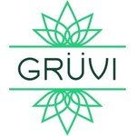 Gruvi